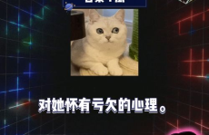 娱乐圈吃瓜爆音乐节,音乐节成吃瓜热点，明星幕后故事大揭秘