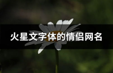 火星文情侣网名,创意无限，浪漫满溢