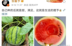 娱乐圈哪里吃瓜好吃,揭秘各大热门地点的“吃瓜”盛宴