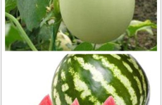 欣欣带你娱乐吃瓜,揭秘娱乐圈幕后故事