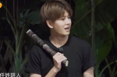 娱乐吃瓜呀任嘉伦,娱乐圈风云人物，多事之秋中的璀璨星光