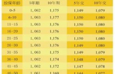 国寿鸿丰两全保险,保障与收益并重的理财新选择