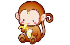 2019年属什么生肖,猪年运势、特点与影响