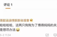 娱乐圈吃瓜账号是什么,幕后真相大曝光