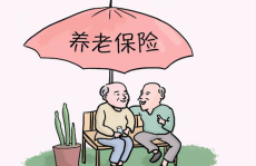 城乡居民养老金,“城乡居民养老金政策解读与未来展望”