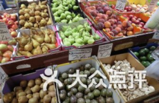 娱乐吃瓜酱澳洲留学,娱乐吃瓜酱带你领略留学生活百态