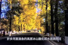 娱乐吃瓜君5,揭秘娱乐圈最新热点，带你领略明星幕后故事