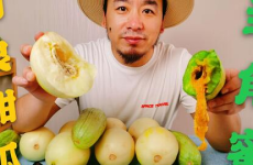 西藏网红的吃瓜,揭秘幕后故事与网络热度