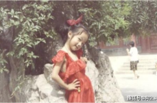 吃瓜娱乐圈贵妃是谁,揭秘娱乐圈神秘新贵