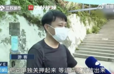 吃瓜网红打架,一场网络暴力与正义的较量