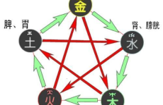 五行算命,揭秘命运与性格的五行八字奥秘”