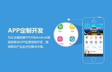 定制软件开发公司