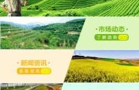 农业致富信息网,助力农民增收，共创美好未来
